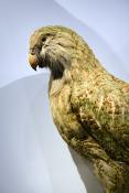 manchester museum 9-2023 8855